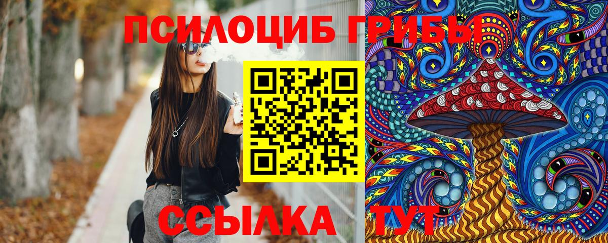 Черняховск  Псилоцибиновые грибы MAGIC MUSHROOMS  Вход с VPN  Галлюциногенные грибы Cubensis 
